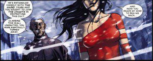 Panel from Shadowland: Elektra #1, by Zeb Wells and Emma Rios Panel from Shadowland: Elektra #1, by Zeb Wells and Emma Rios